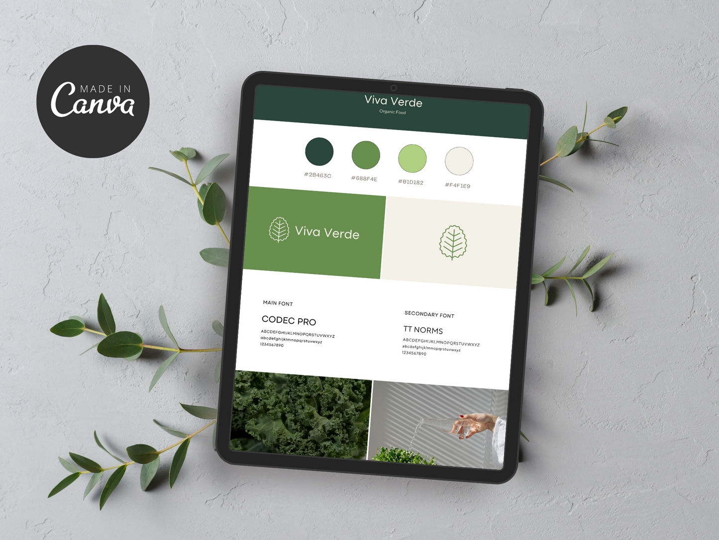 Brand Board Canva Template