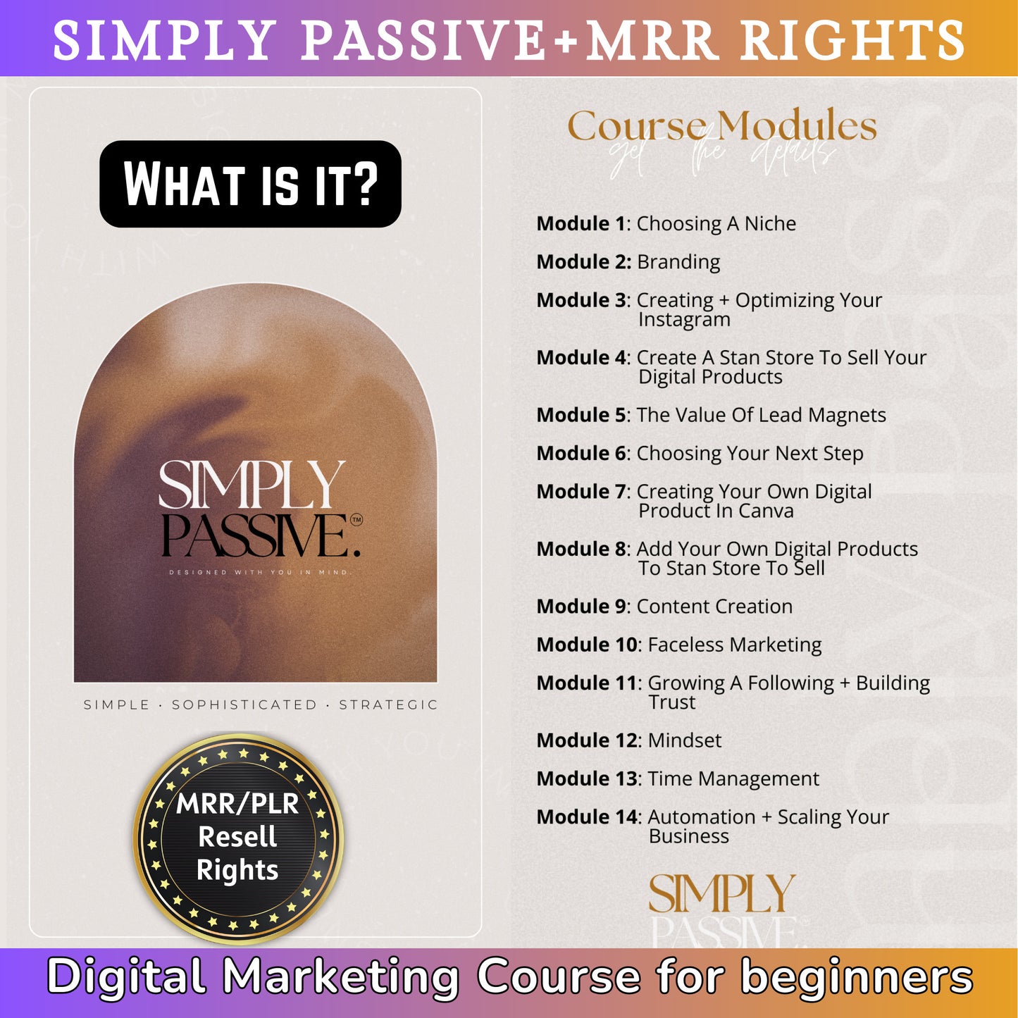 Simply Passive Digital Marketing Course MRR Master Resell Rights + Digital Marketing Growth KIT mega-bundle + Faceless Marketing Instagram - MRR Products Vault