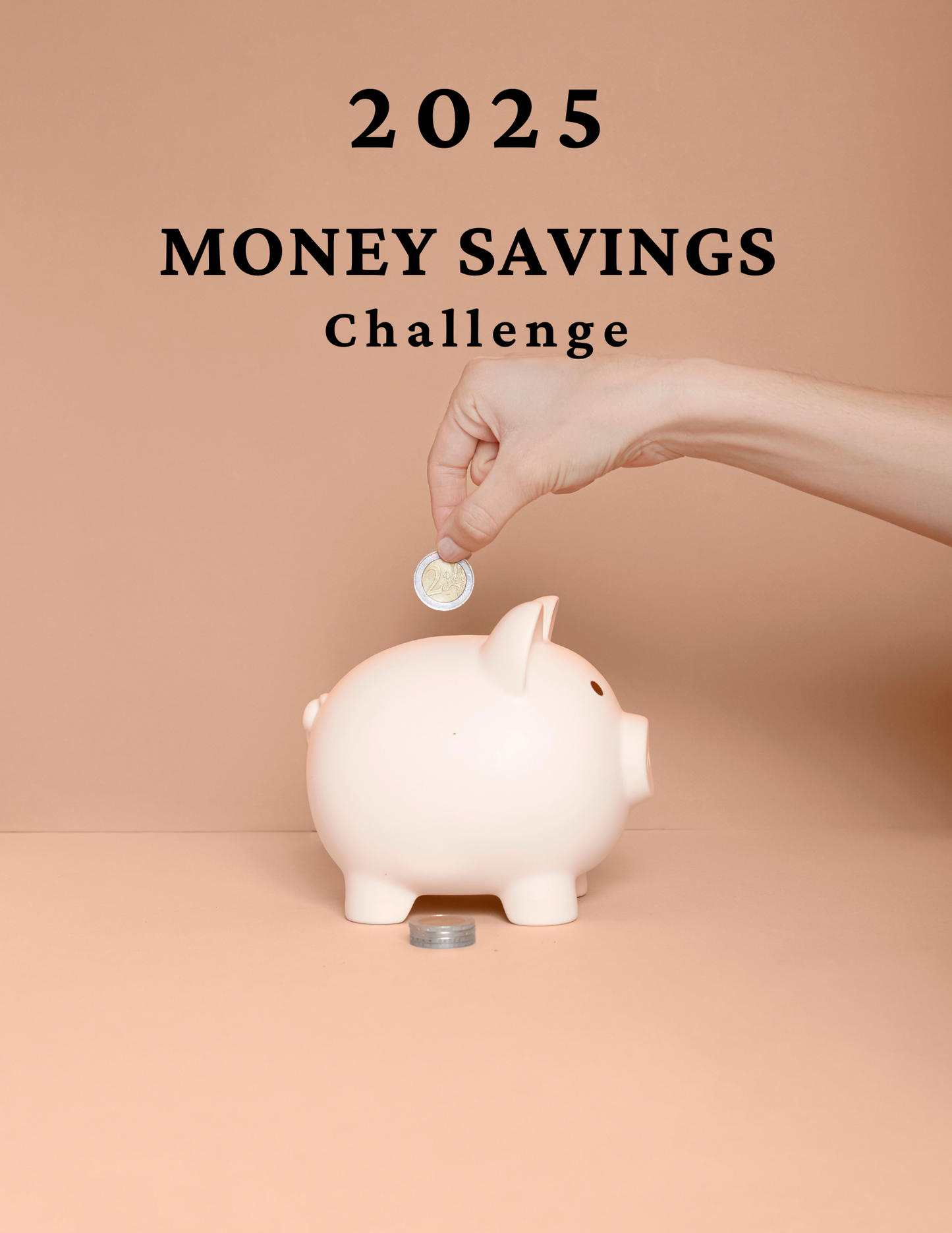 2025 Money Savings Challenge - PLR MRR