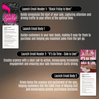 Black Friday Email - MRR+PLR V2