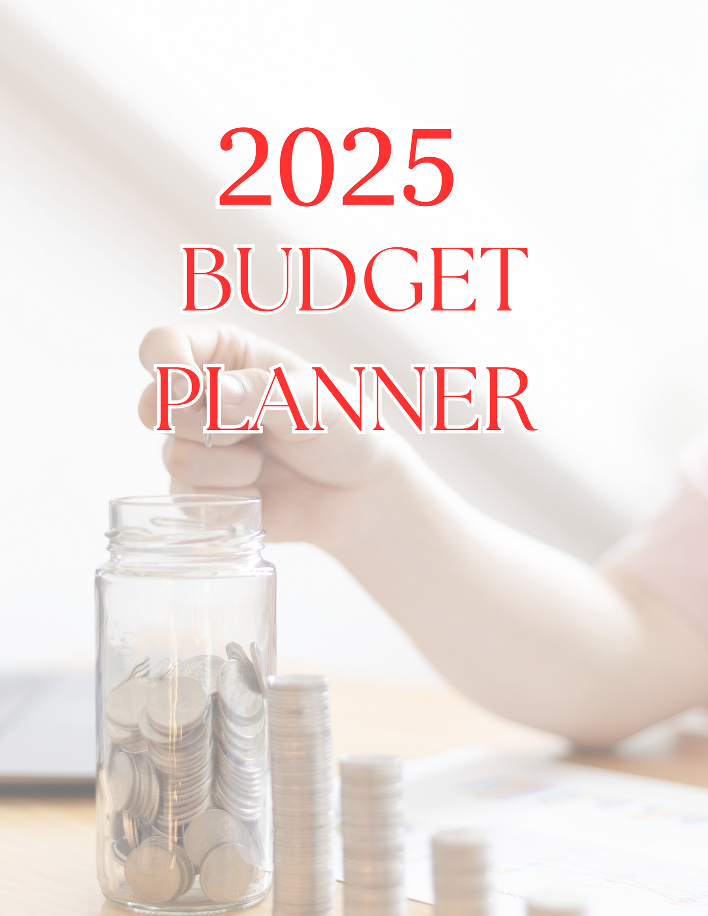 2025  Budget Planner Bundle - PLR MRR