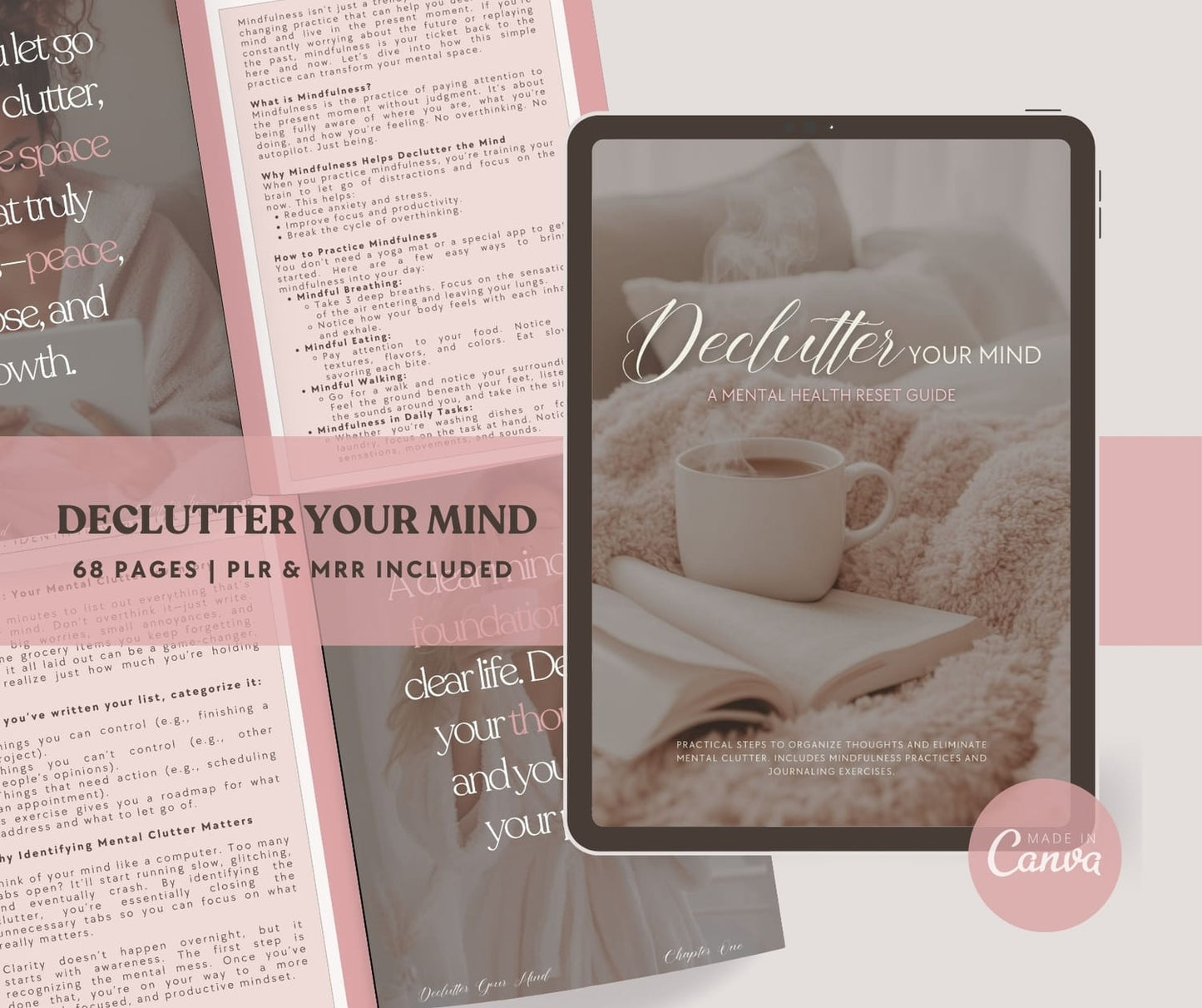 Declutter Your Mind Ebook - MRR+PLR