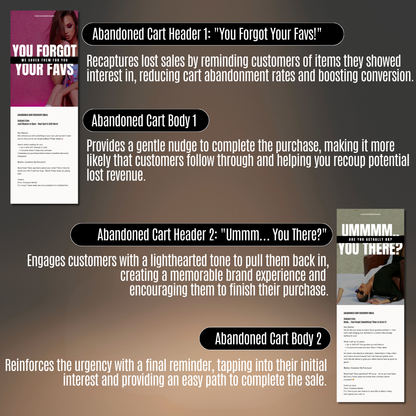 Black Friday Email - MRR+PLR V2