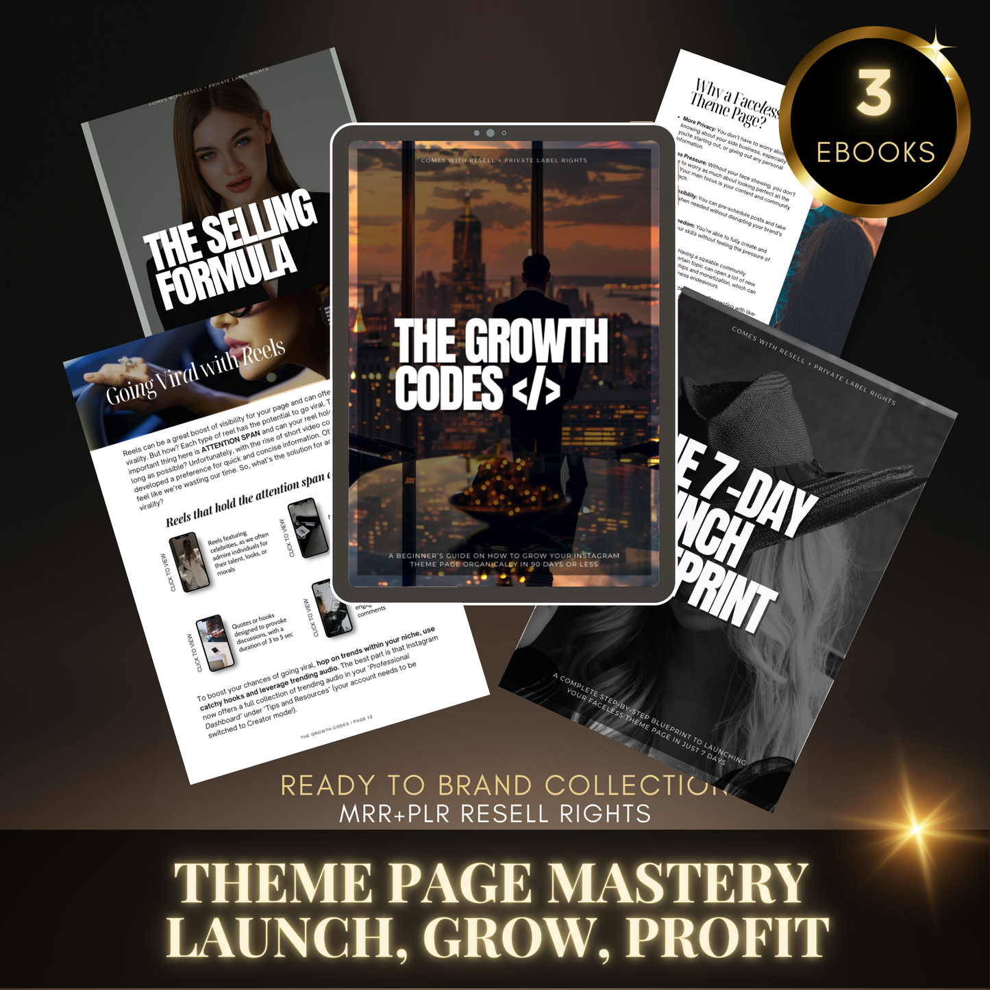 Theme Page Mastery: Launch, Grow, Profit - MRR + PLR