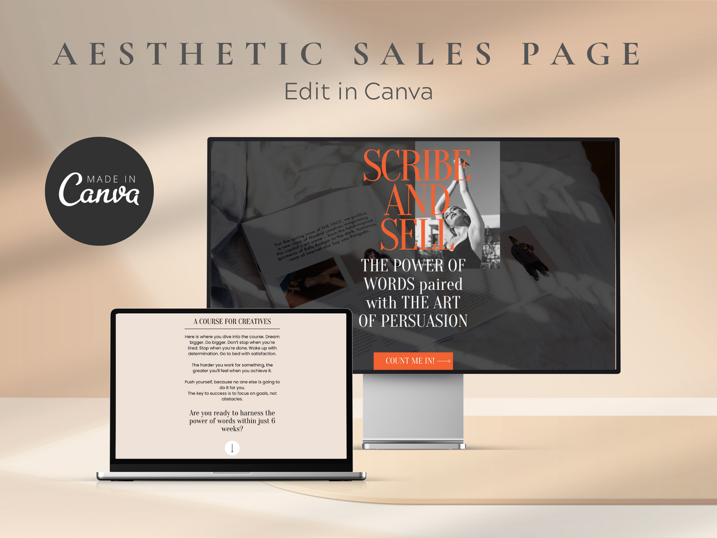 Sales Landing Page Template MRR+PLR Resell rights