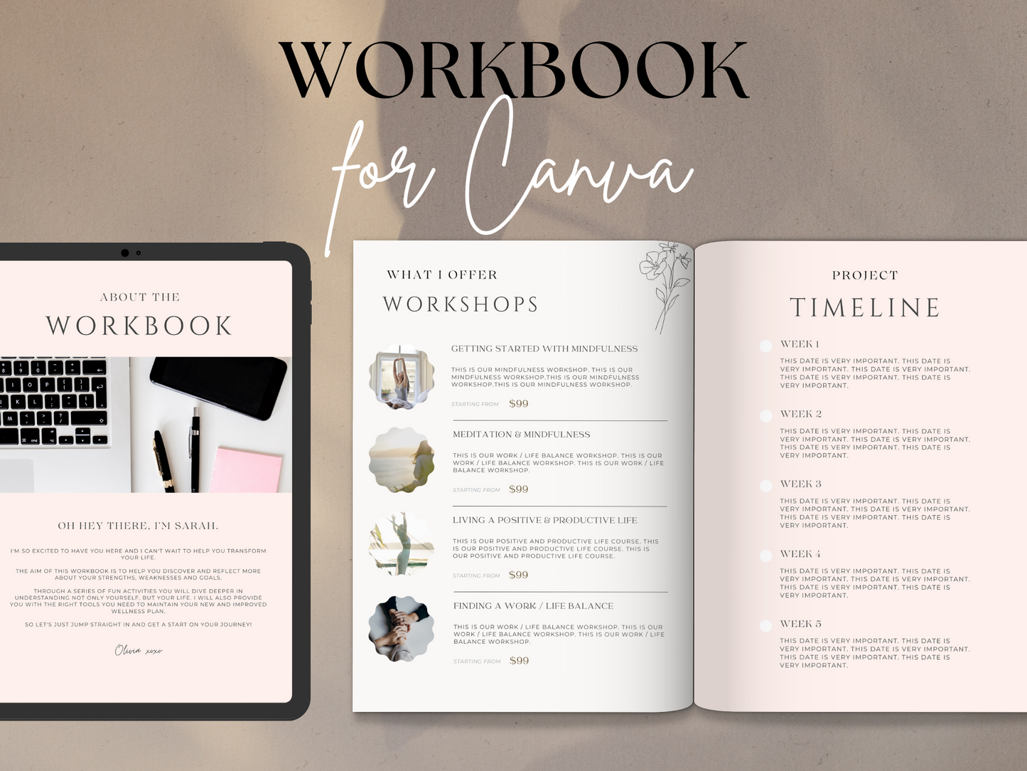 Workbook Template Canva MRR+PLR Resell rights