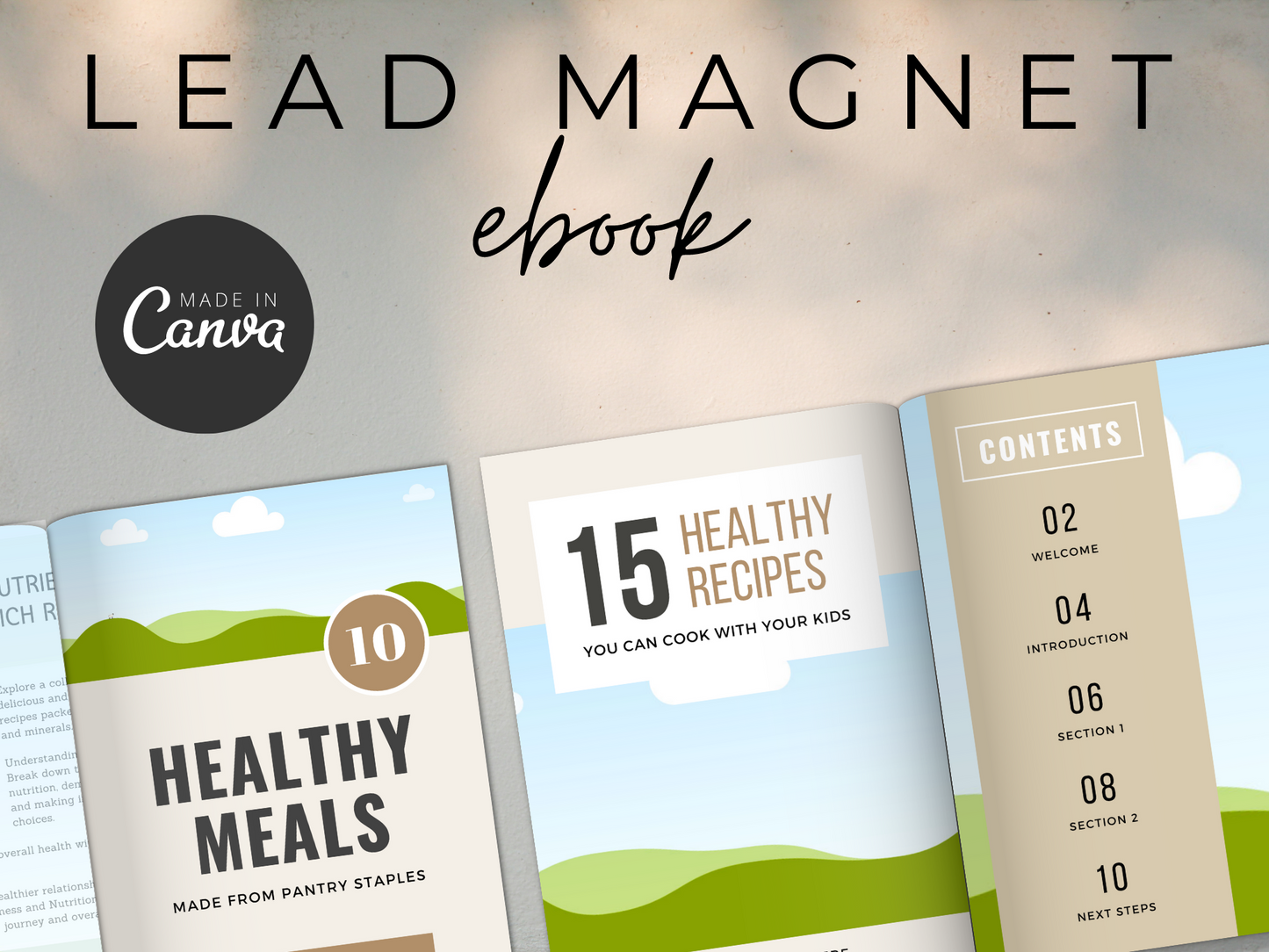 Canva Lead Magnet EBook MRR+PLR Resell rights