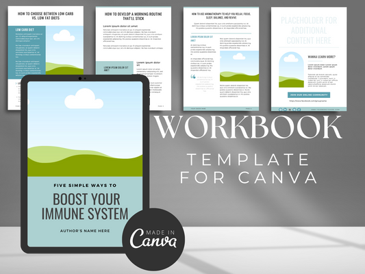 Canva Lead Magnet EBook MRR+PLR Resell rights