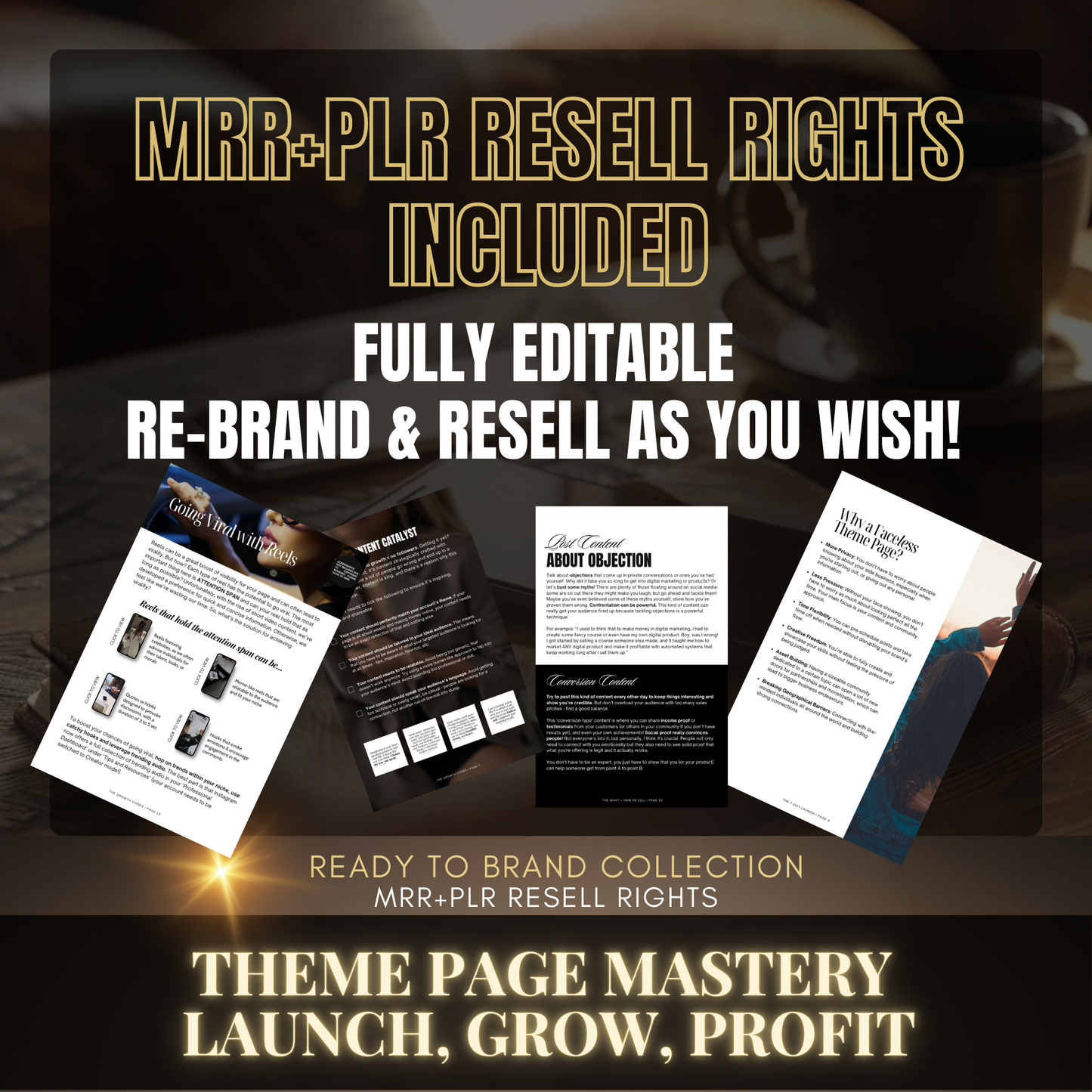 Theme Page Mastery: Launch, Grow, Profit - MRR + PLR