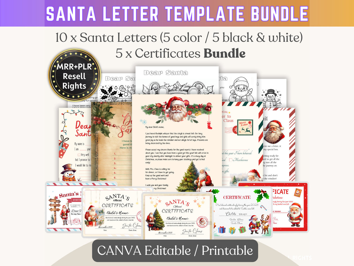 Get Organised Christmas Bundle - MRR + PLR