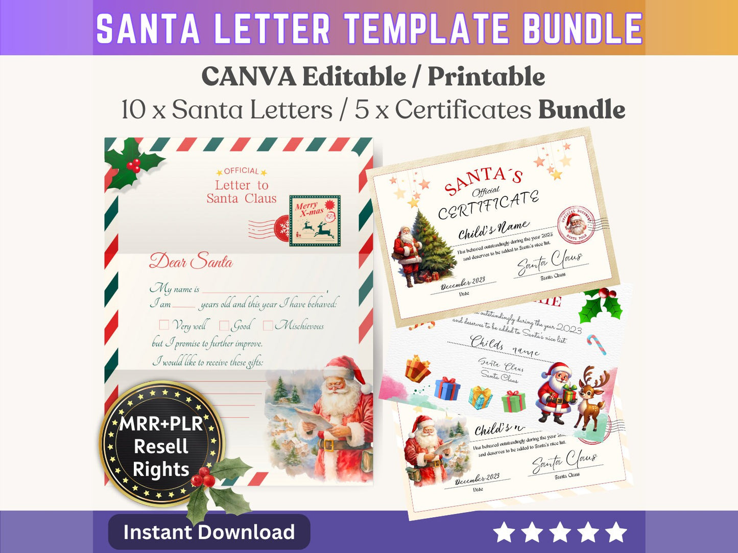 Get Organised Christmas Bundle - MRR + PLR