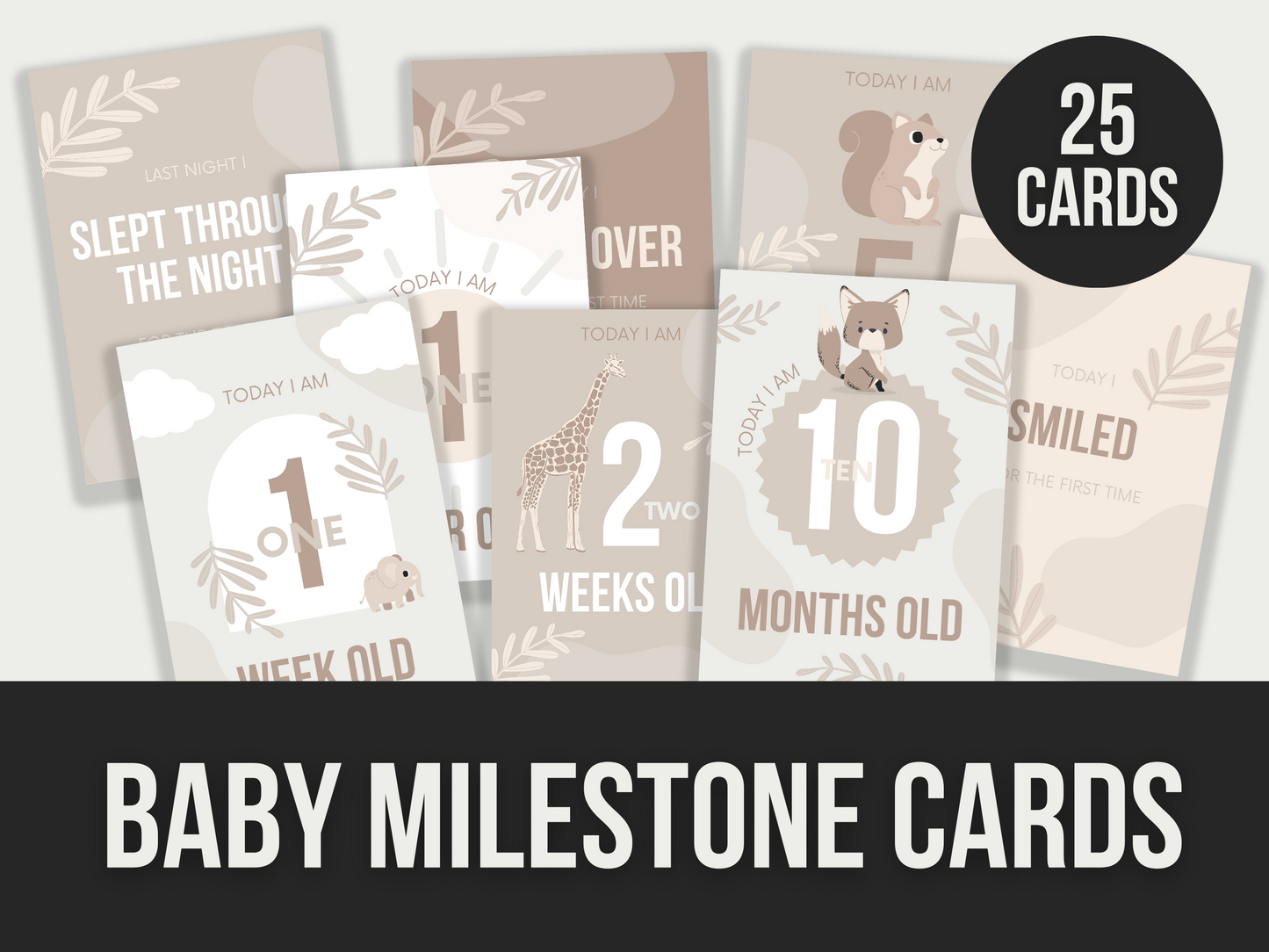 baby milestone cards - MRR Products Vault