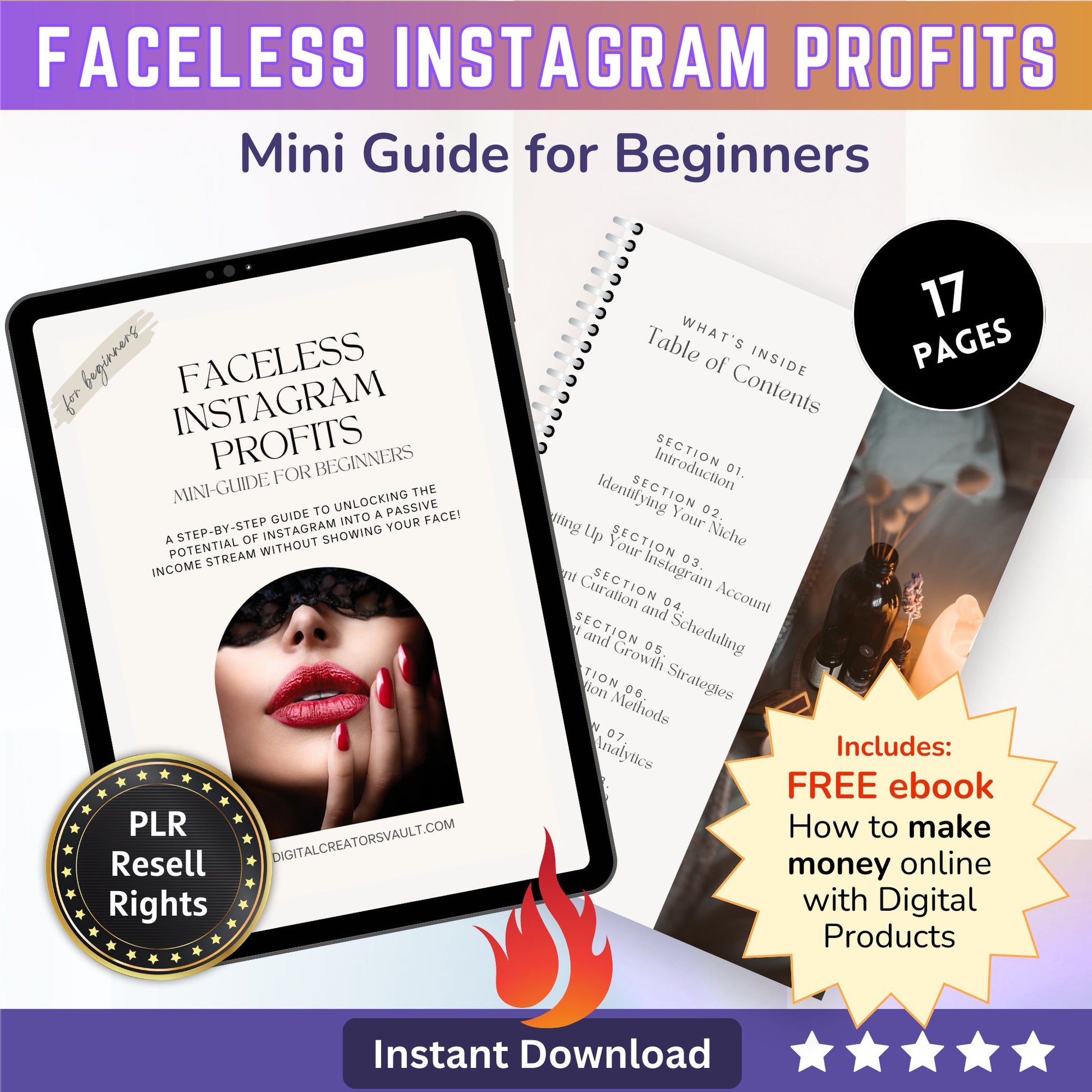 Faceless Instagram Profits Mini Guide | Online Passive Income | A Beginner's Guide to Faceless Instagram Success | PLR Resell Rights - MRR Products Vault